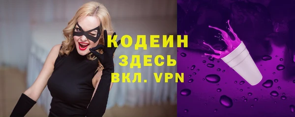молекула духа Богородск