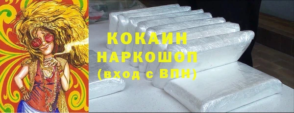 молекула духа Богородск