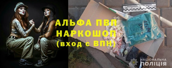 молекула духа Богородск