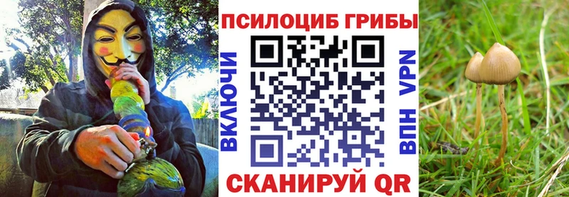 Псилоцибиновые грибы прущие грибы где купить наркотик Бодайбо