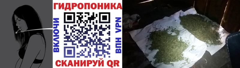 Шишки марихуана AK-47  наркота  Бодайбо 
